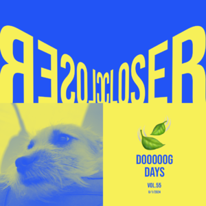 vol.55：邻居，小狗，楼下的树