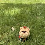 苍茫大地谁主沉浮姆们姆们