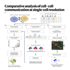 151-Scriabin: analysis of cell–cell communication