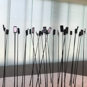 始于看见:与疾病共处,与罕见同行