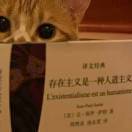 雀za