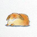 灼华_Kcsj