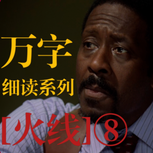 ⑧"最伟大美剧"[火线]the wire 万字细读
