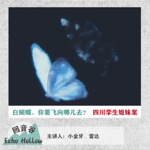 EP09 白蝴蝶，你要飞向哪儿去？| 四川孪生姐妹案