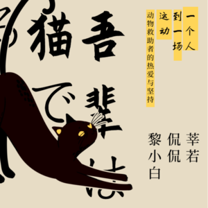 Vol.3 从“一个人”到“一场运动”：动物救助者的热爱与坚持