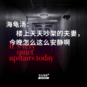 海龟汤:楼上天天吵架的夫妻,今晚怎么这么安静啊