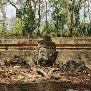 新婚一个月吵到丢戒指，爱到什么程度是尽头