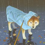 春夜甜圈