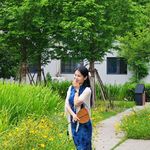 向上Ye