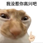 这里是米花_