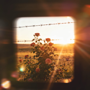 005.女孩，请停止你的容貌焦虑吧！