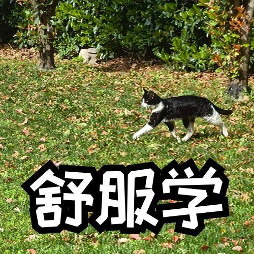 podcast-avatar