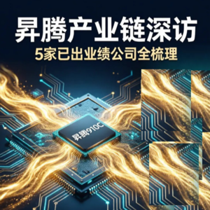 国产算力之昇腾产业链深访:从"备胎"到"真香",哪些公司已经赚到真金白银?