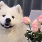 稳稳w