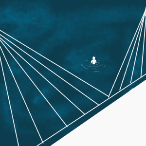 人工湖中的凤仙花