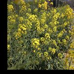 喜欢推理小说的青年