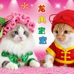 国王的权利