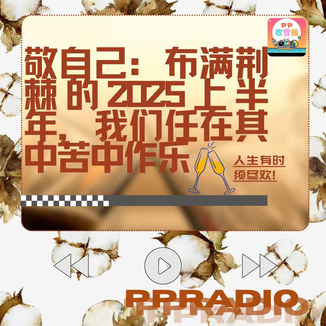Vol.19丨敬自己：布满荆棘的2025上半年，我们任在其中苦中作乐 episode artwork