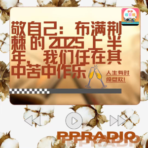 Vol.19丨敬自己:布满荆棘的2025上半年,我们任在其中苦中作乐