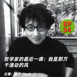 34. 哲学家的最后一课：我是那万千逸动的风