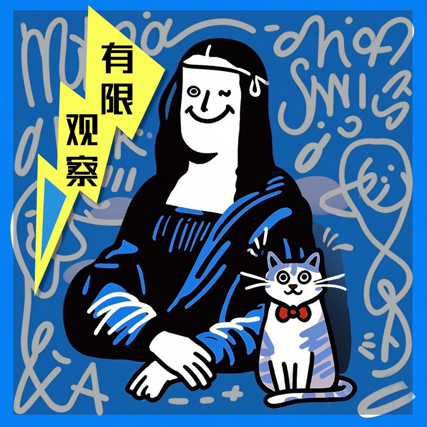 有限观察 cover art