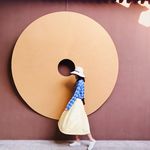 Chenxi622