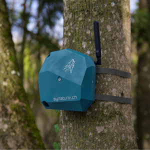 用耳朵“看见”自然：AI如何破解生物多样性监测难题？