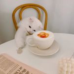 玛丽莲懵璐