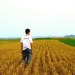 vol.121｜苗炜:麦田守望者们，看不惯这个世界又能怎么办