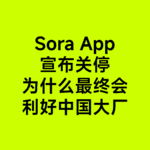 06-Sora App下线了，最后利好中国大厂，我说的 | AI 快评