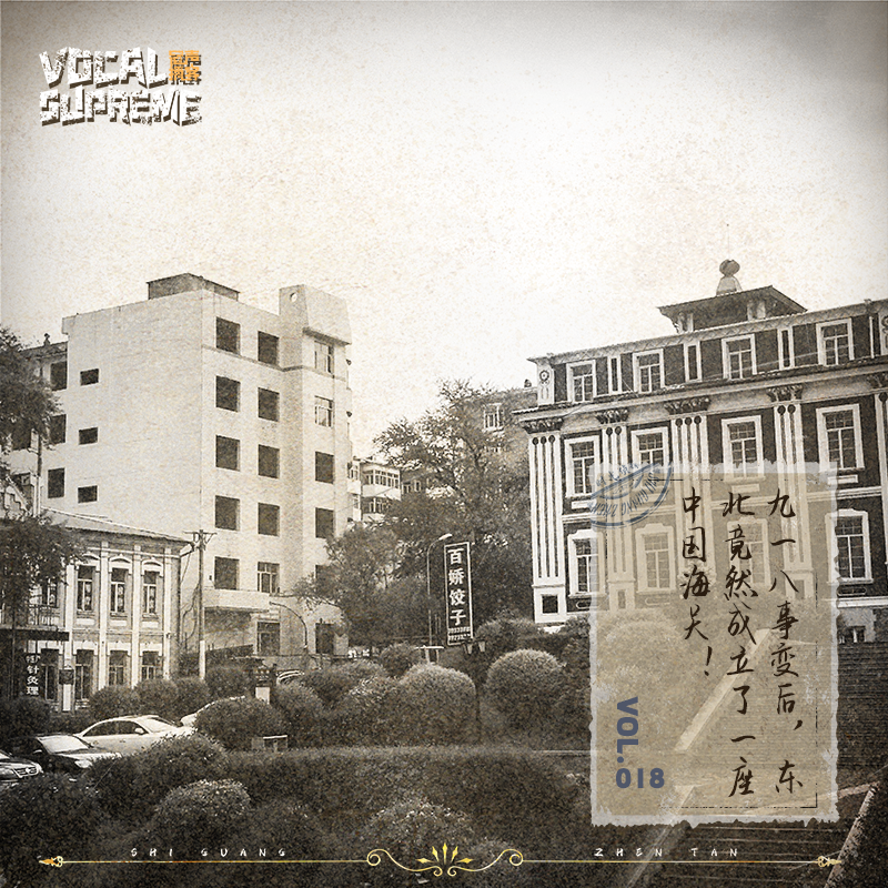【抗战史的小细节】九一八事变后，东北竟然成立了一座中国海关！ episode artwork