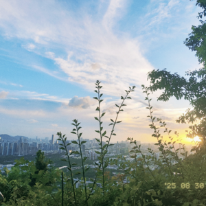 玄学夜话134｜找风向搭子爬山踩雷，星盘不合的邪门经历，风象星座拉黑！