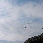 剩下的水可以浇草