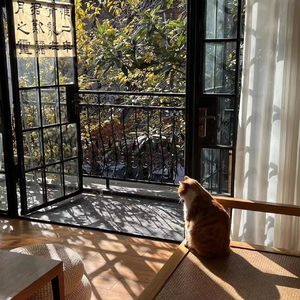 No.135 - 沪漂生活实录：在烟火气里当自己的小英雄