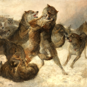 52 达尔文、社达与纳粹——与“生物漫游指南”串台（下集）