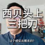西贝跌倒，同行吃饱？