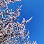 舟舟_kg6s