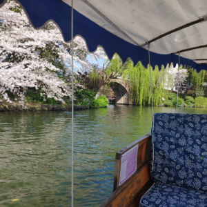 Vol.00 游西湖:一条精品路线,一沓文化故事