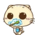 在梦里我会飞