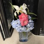 Yuhua_Nlt3