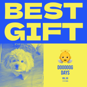 vol.50：祖师爷赏了顿自助餐～