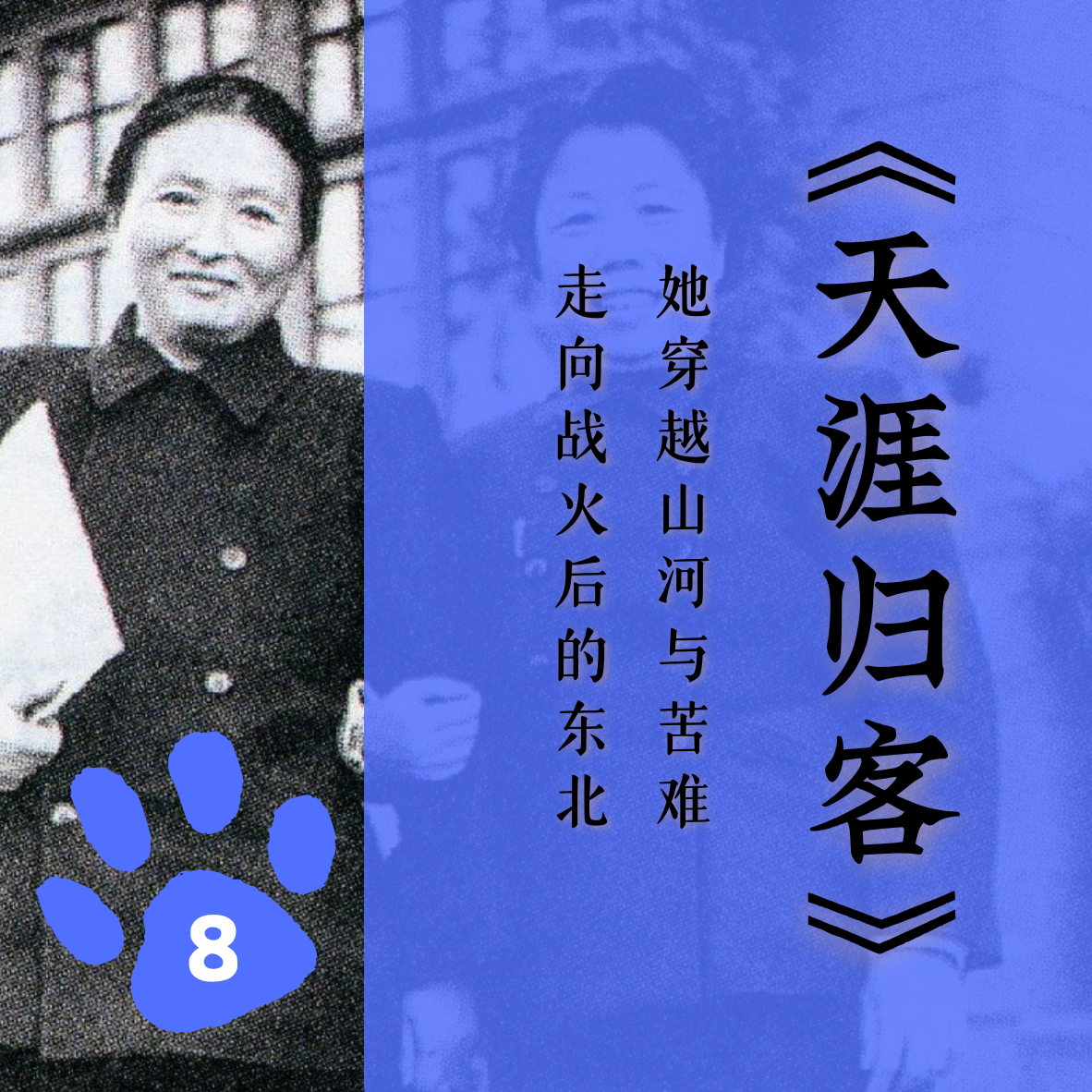 「十三」《天涯归客》：她穿越山河与苦难，走向战火后的东北 episode artwork
