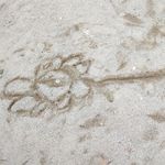 你说的我听不懂完蛋了