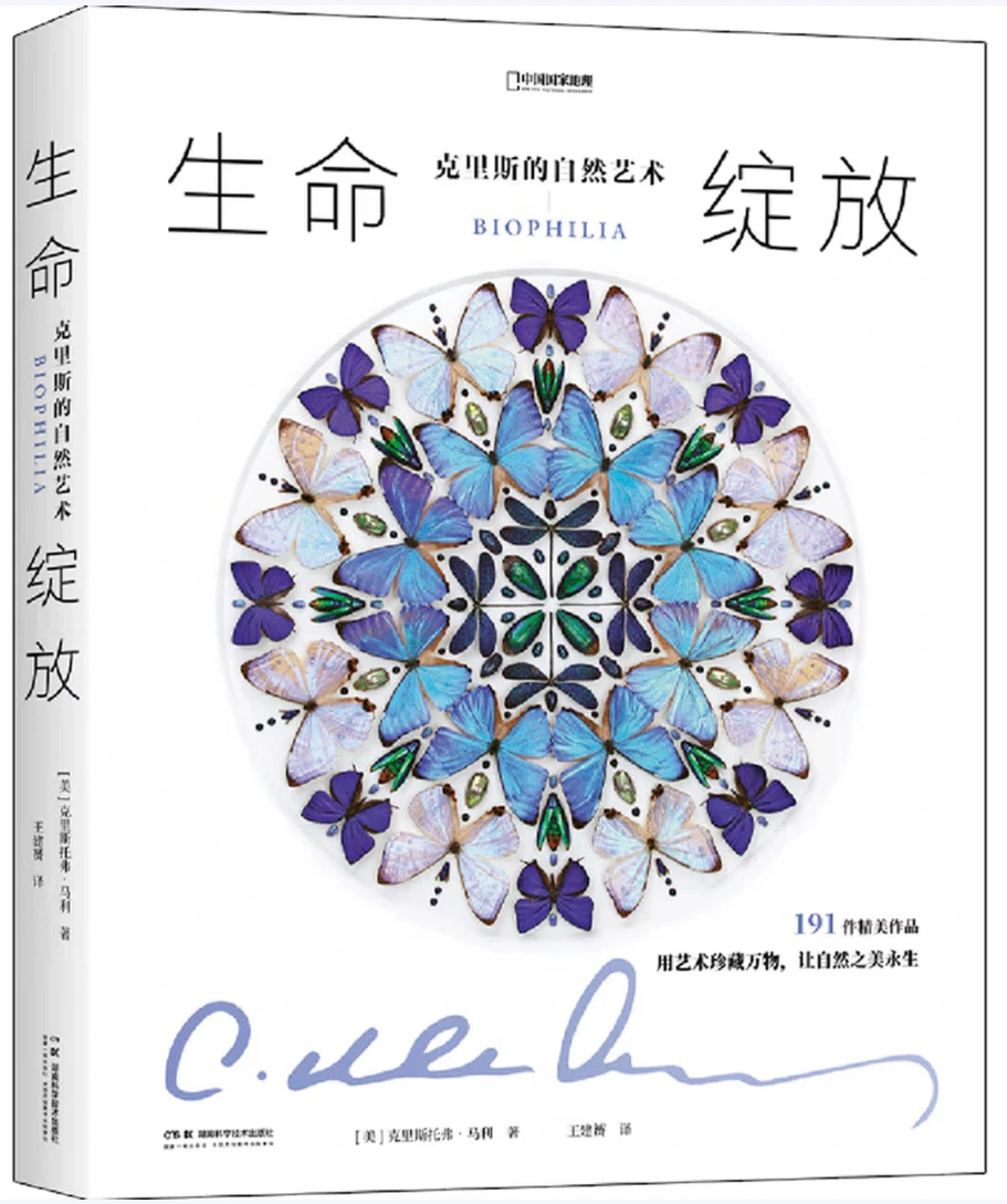 生命绽放：克里斯的自然艺术