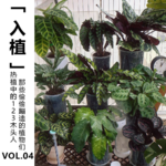Vol.04 【入植】热植中的123木头人，那些偷偷蹦迪的植物们