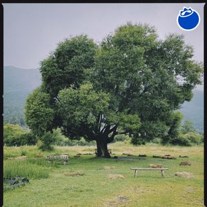 014 他们说，旅居就是理想生活