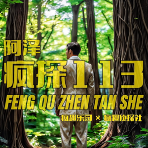 金三角往事：大毒王发迹秘史-疯探113