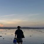 LittleBIN_