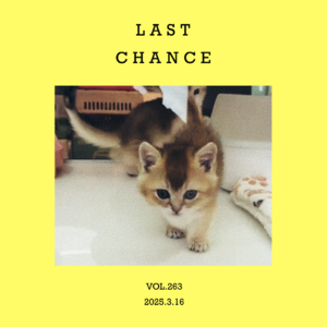 vol.263:“画龙点睛”的最后机会!