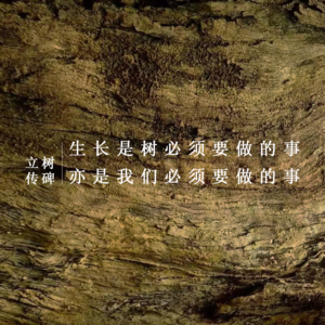 VOL.6博物馆界“奥斯卡”落下帷幕，一个好展览的标准是什么？